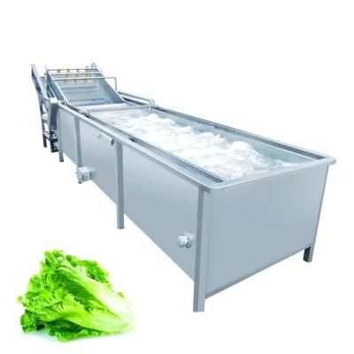 Multi-Function Air Bubble Vegetable Fruit Washing Machine