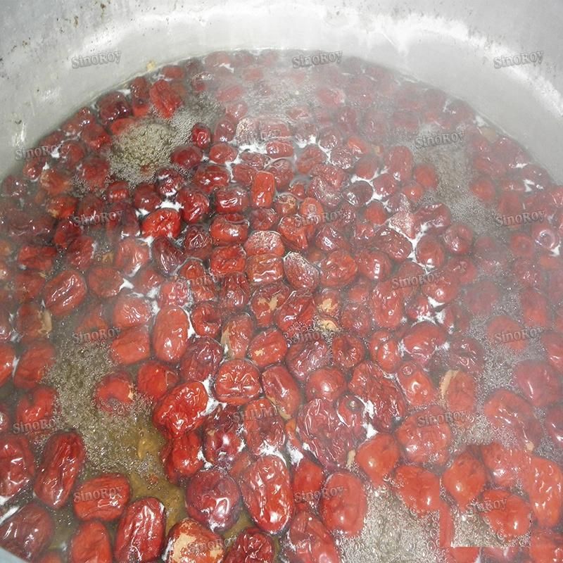 1000kg Red Dates Juice Red Dates Paste Processing Line