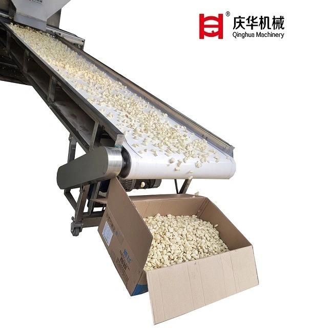 Factory Direct Sales 200-300kg/H Chain Garlic Peeling Machine, Dry Garlic Peeler