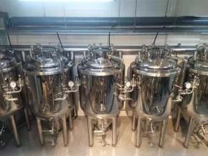 Small Mirco Beer Brewery 300L 500L Brewing Equipment with CE Certification