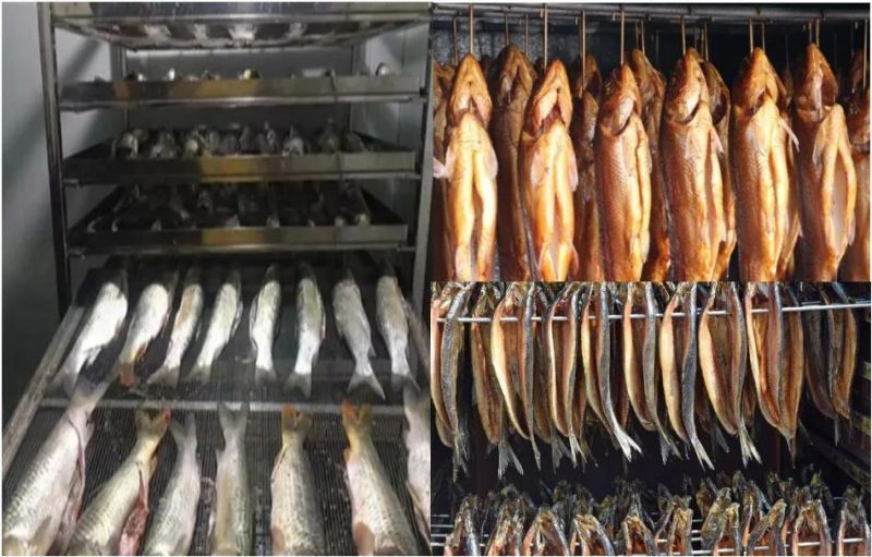 Sardine, Mackerel Dehydration Machine Fish Drying Machine Dehydrator