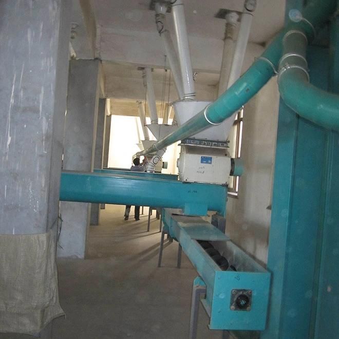 120t/24h Wheat Maize Flour Mill