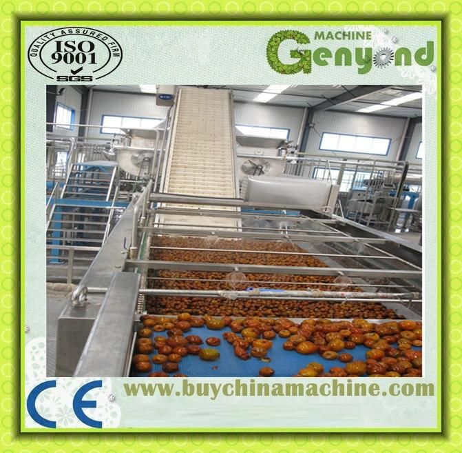 Date Juice Processing Machinery Date Juice Processing Line