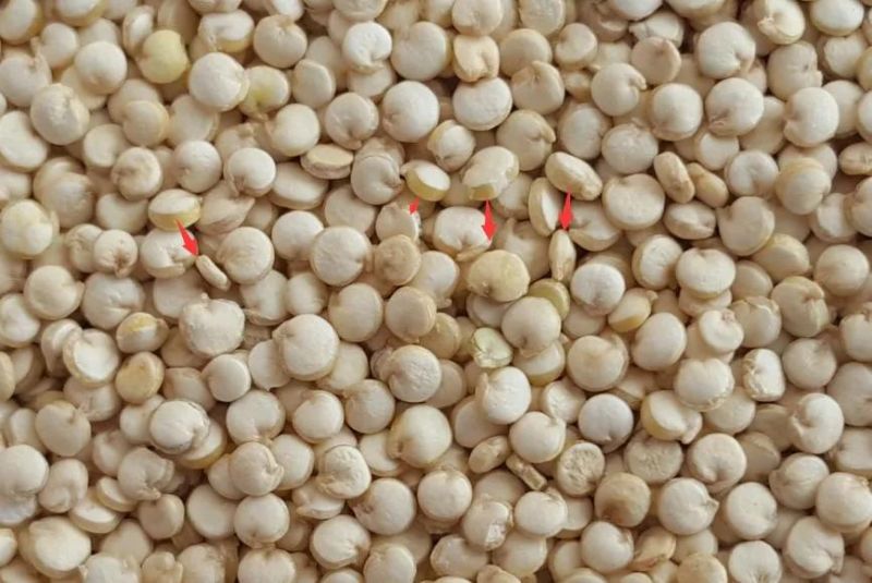 Clj Brand Quinoa Processing Professional Auto Rice Mill Machine