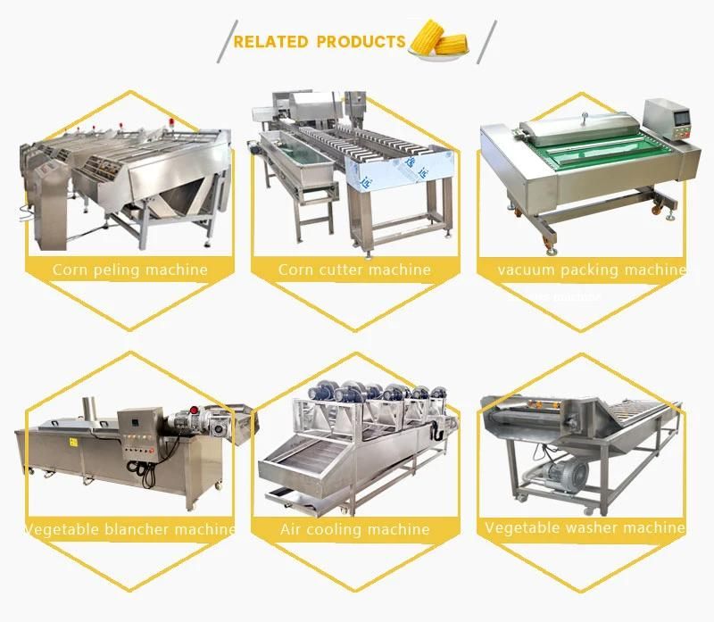 Newest Type Corn Peeling Machine Line Fresh Sweet Corn Processing Line