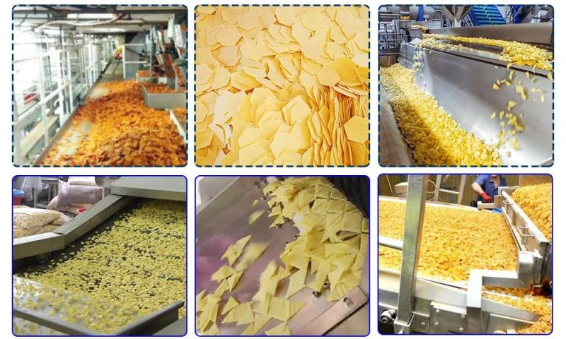 50-60 Kg/H Corn Chips Plant Doritos Tortilla Chips Making Machine for Sale Machines to Make Corn Chips