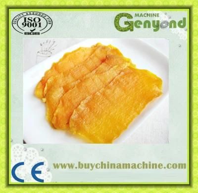 Complete Sliced Mango Drying Machine