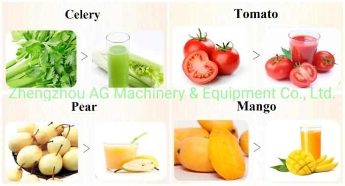 Cold Press Fruit Juicer Extractor Machine Apple Pear Kiwi Carrot Citrus Juicer