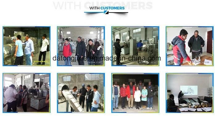 Twin Screw China Supplier Pet Dog Food Processing Machine Product Line