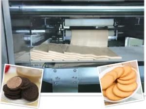 Ss304 Hard and Soft Biscuit Production Line