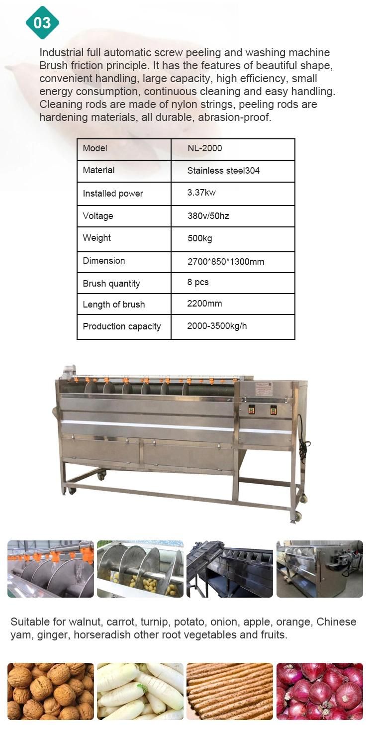 Stainless Steel Apple Ginger Carrot Potato Fruit and Vegetable Bubble Washing Equipment
