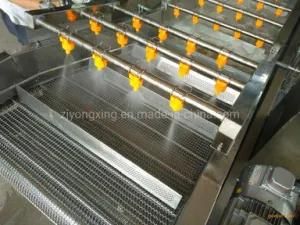 Qualified 304 Stainless Steel Washer/Washing Production Line for Fruits and Vegetables ...