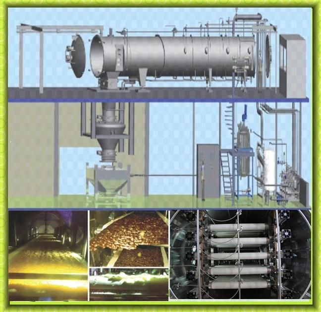 Fruits and Vegetables Vacuum Drying Machines