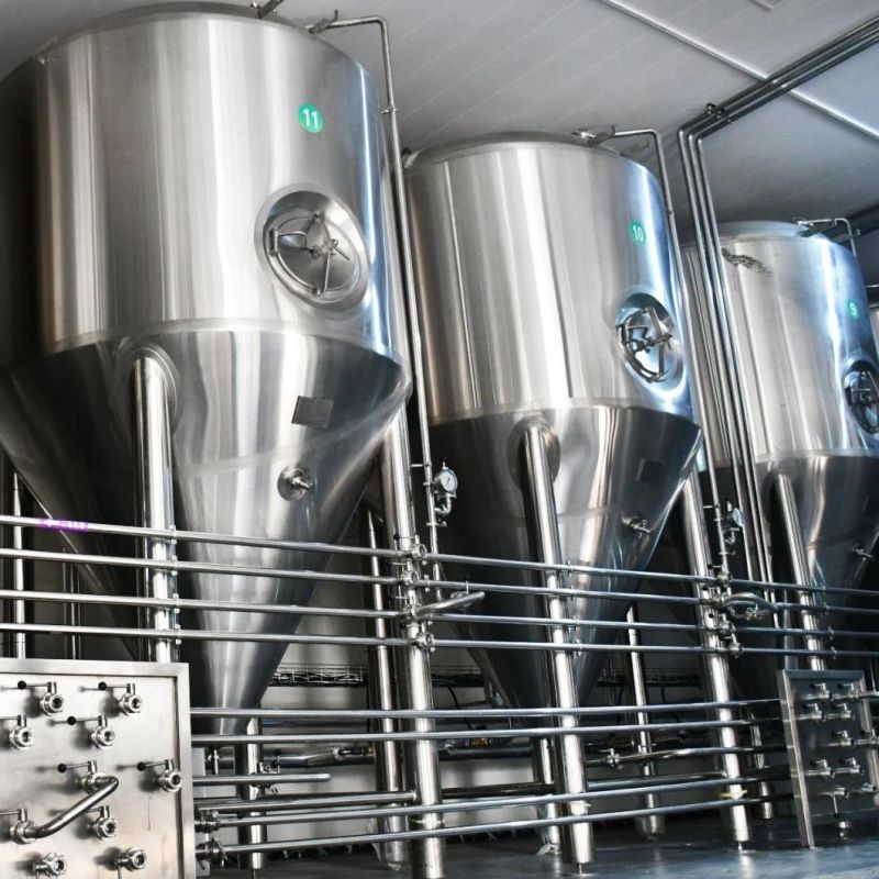 300L 500L Beer Brewery Equipment for Pub/Hotel/Restaurant