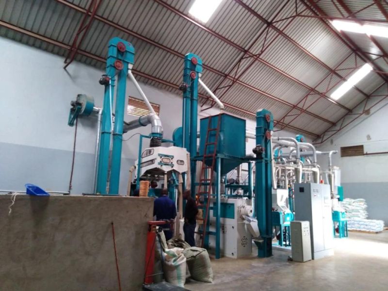 Uganda Rwanda Burundi 20t Corn Grinding Mill Africa Market