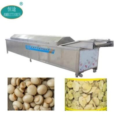 Mushroom Pasteurization Machine Canned Mushroom Sterilization Machine