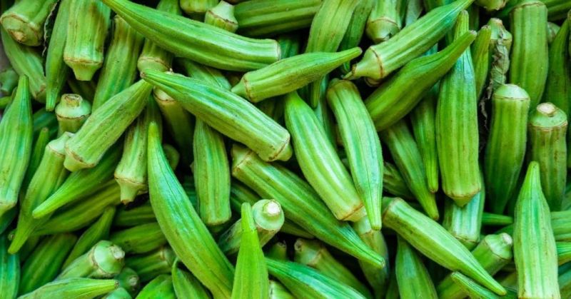 Hot Water Leafy Green Vegetable Steam Okra Blancher