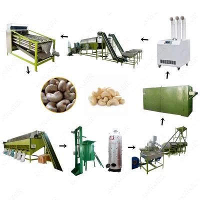 Full Grading Steaming Peeling Shelling Cashew Nut Machine Production Line