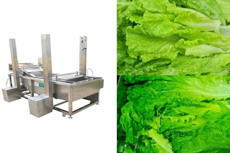 Restaurant Vegetable Washing Cleaning Machine Air Bubble Lettuce Washer