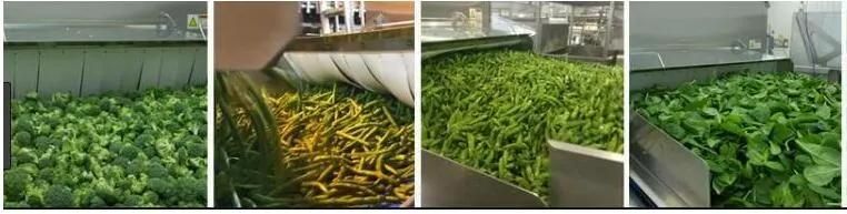 Beef Blanching Machine Meat Blanching and Cooking Machine