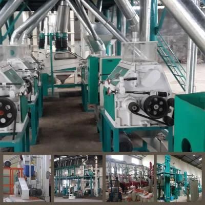 Specially for Kneya Market 30t/D Maize Processing Machinery