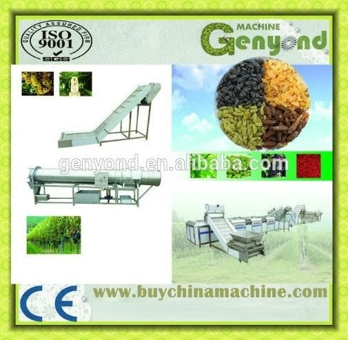 Raisin Processing Machine/Equipment