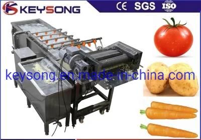 Industrial Tomato Potato Carrot Cleaning Washing Machinery