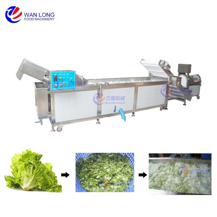 Industrial Vegetable Fruit Herbs Cutting Washing Dewatering Production Line Bubble Washing Machine
