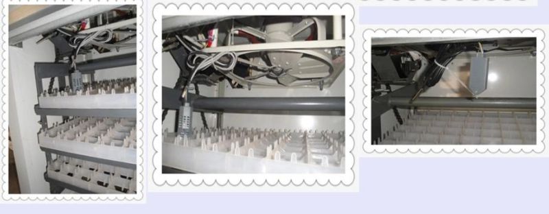 Hhd 2 in 1 Good Quality Automatic 4224 Egg Incubator for Sale in Tanzania