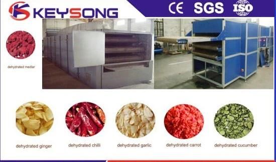 China Manufacturer Dehydrated Vegetable Processing Line