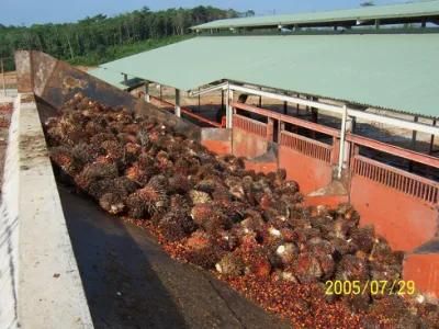 Palm Acid Oil Machine Palm Oil Digester Machine Palm Kernel Oil Expeller Machine for ...