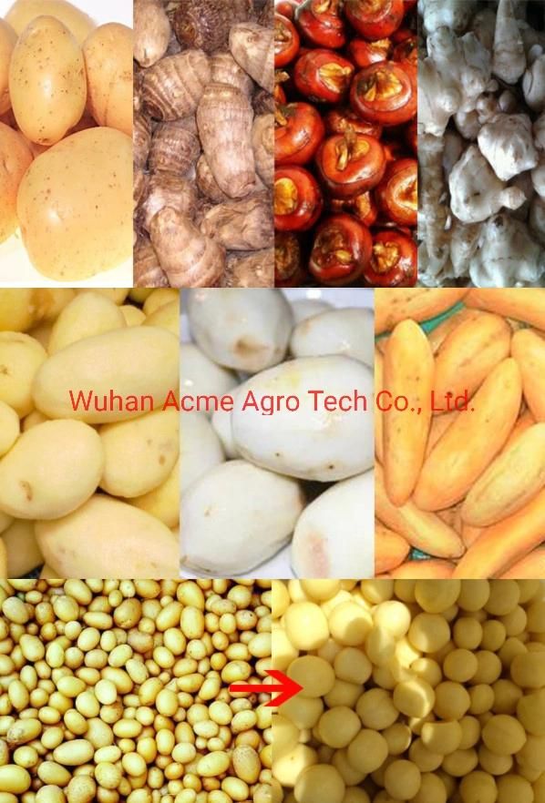 Commercial Potato Peeler and Cutter Machine Price