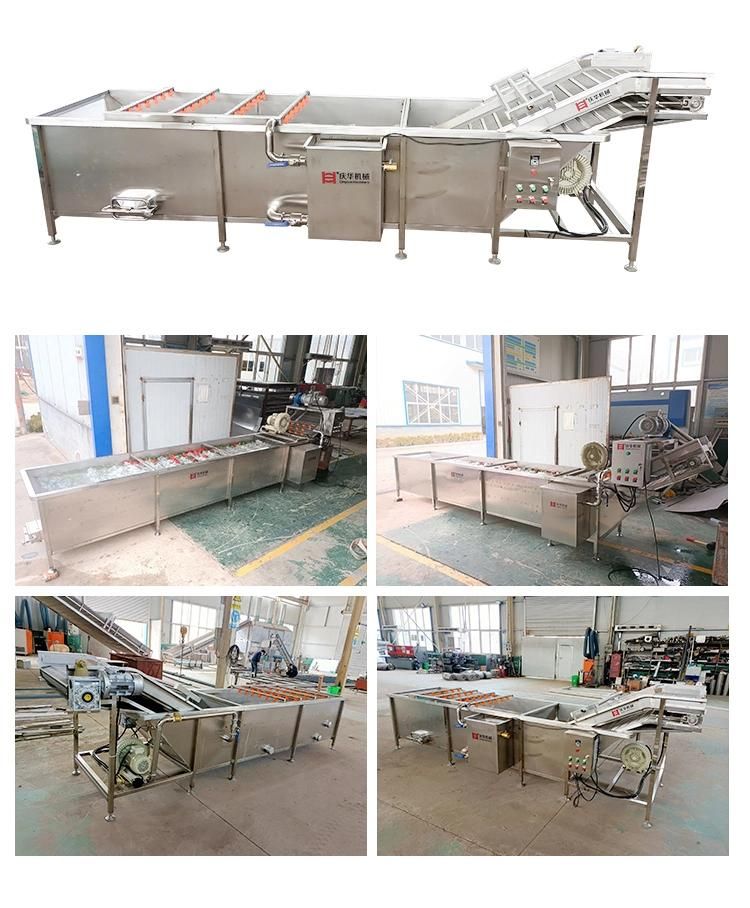 Automatic Spray Type Vegetable Cleaning Machine