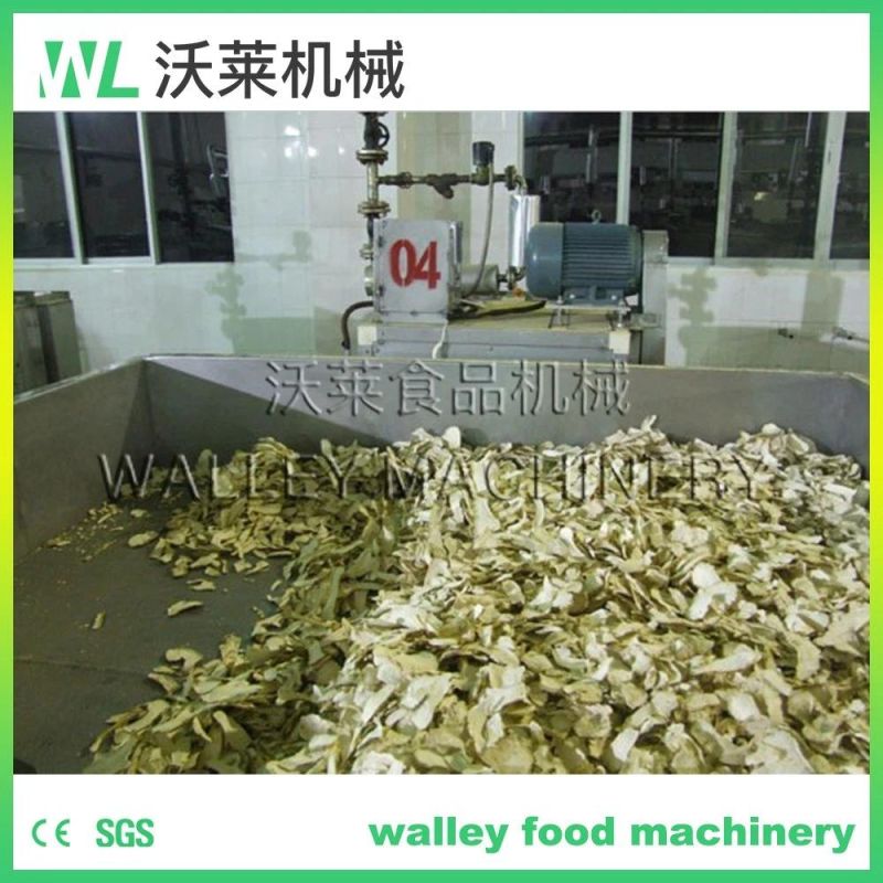 Wl Vegetable and Fruit Drying Equipment Drying Machine