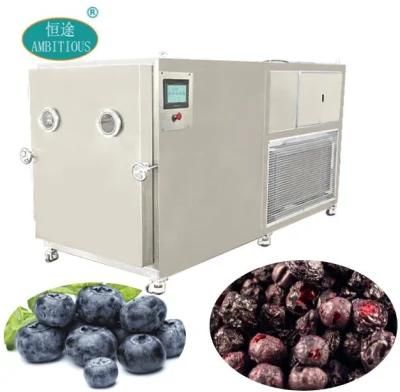 Fruit Dehydrator Machine Vacuum Freeze Dryer Freeze Dried Fruit Freeze Dryer