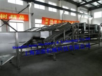 Mango Juice Bottling Line/Mango Juice Packing Line/Mango Juice Filling Line/Mango Juice ...