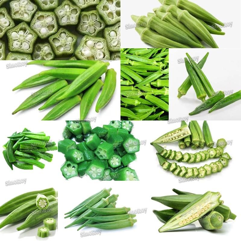 Okra Sauce Processing Line/Okra Sauce Production Line/Okra Sauce Processing Machines
