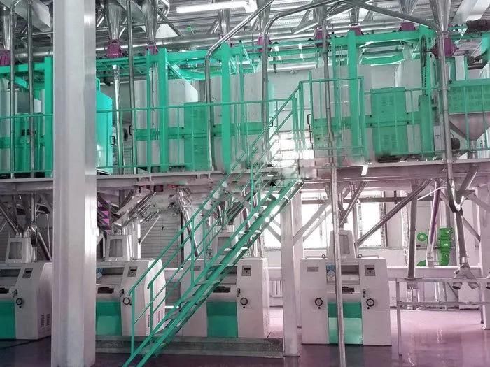 Beans Garbanzo Lentil Pea Splitting Peeling Machine Flour Line Processing and Packaging South Africa