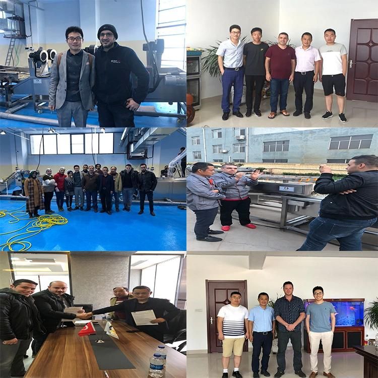 304 Stainless Steel Fruit Blanching Equipment