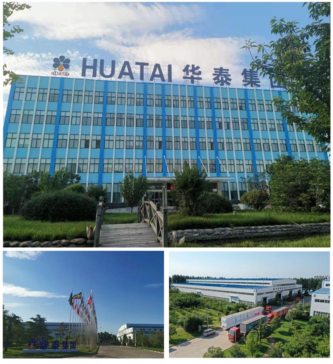 Cottonseed Soybean Peanut Sunflower Scale Cold Screw Oil Press Machine High Productivity for Commercial