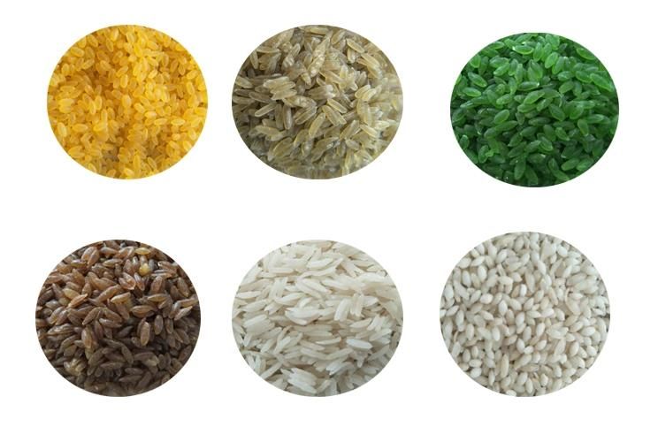 Nutritional Rice Making Machine Manufacturers Fortified Rice Machine Processing Line Plant