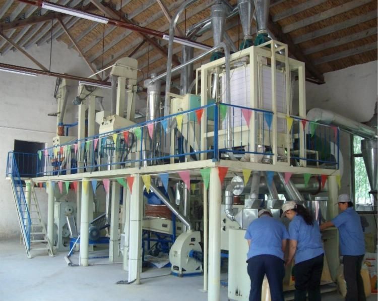Sifted Maize Milling Machines 30t/24h Machines and 50t/24h Machines