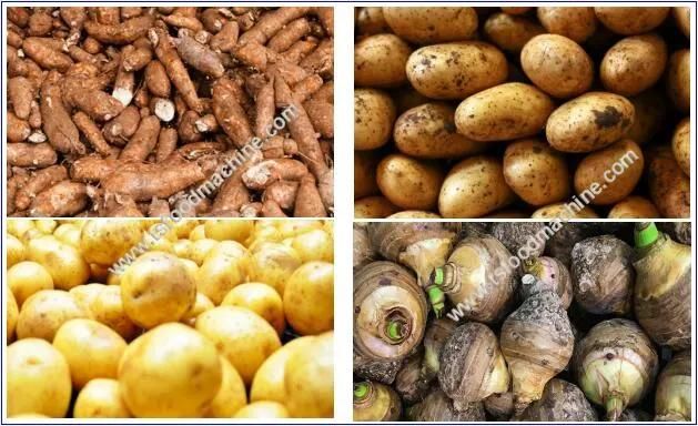 Industrial Automatic Taro Cassava Potato Washing Peeling Machine