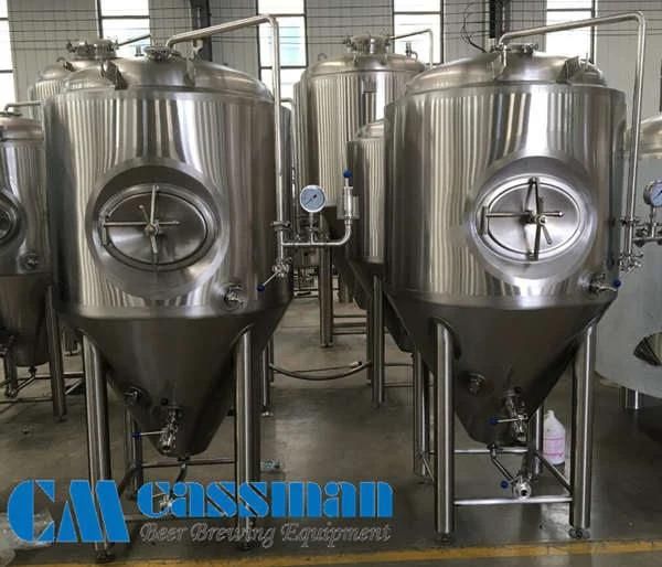 Cassman Turkey Project 500L Stainless Steel Beer Brewing Machine for Bar