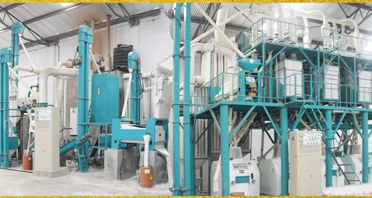 Specially for Zambia Market of 50t/D Maize Milling Machine