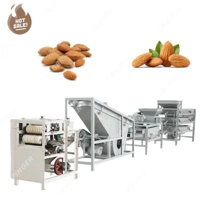 Almond Nut Crispy Peeler and Cracker Making Apricot Kernel Cracking Hazelnut Shelling ...