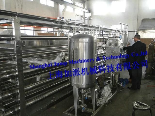 Banana Beverage Processing Line/ Banana Puree Production Line / Banana Pulp Production Machinery/ Banana Beverage Juice Making Machine/Banana Juice Making Plant