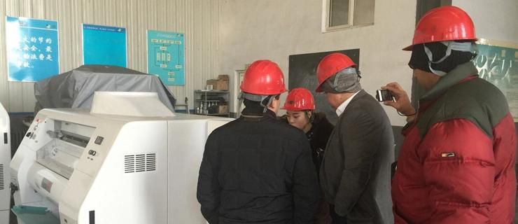 Automatic Maize Wheat Corn Flour Meal Grits Grinding Mill Machine Grinder Milling Machinery for Africa