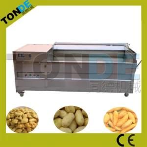 Hot Sale Potato Washing and Peeling Machine 1200kg/H
