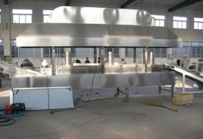 Continuous Fryer Lxz4000 From Jinan Dayi Machinery